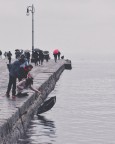 E piove e cerchi il mare...