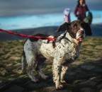 Che fatica Che fatica