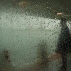 Ormai siamo senza parole Ormai siamo senza parole