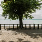 Critica al buio - Foto 026 di Claudia Costantino Critica al buio - Foto 026 di Claudia Costantino