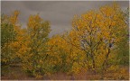 Finlandia: autunno estivo Finlandia: autunno estivo