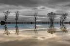 Universi paralleli
