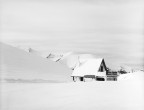 Bolognola (MC) - Inverno 2017
Fuji Acros 100