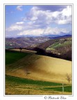 Paesaggio!