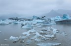 Fiallsarlon  un piccolo lago glaciale nel sud dell'Islanda nato dal ghiacciaio Vatnajokull nei pressi del vulcano attivo.