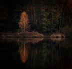 raggio di sole autunnale raggio di sole autunnale