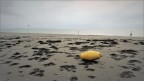 Grado  img.017