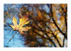 Autunno sul lunotto