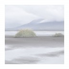 Ricordi dell'anima Ricordi dell'anima