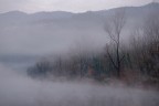 nella nebbia 2