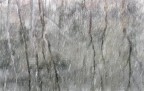 Impressioni Nevose Impressioni Nevose