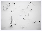 Inverno minimale