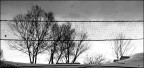 Monfalcone img.030