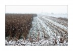 Monotonie padane - Inverno
