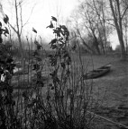 anime salve ;/) anime salve ;/)