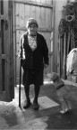 La vechina è il cane La vechina è il cane