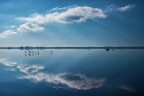 al lago di Massaciuccoli