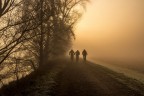tre nella nebbia
