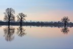 Dopo la piena un campo allagato diventa specchio