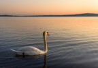 Tramonto lacustre Tramonto lacustre