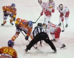 Alps Hockey League - Asiago-Red Bulls Salzburg Alps Hockey League - Asiago-Red Bulls Salzburg