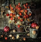 fiori di campo fiori di campo