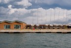 Brutto anatroccolo