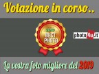 La nostra foto migliore del 2019 su photo4u.it