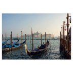 29012020_7R34463 29012020_7R34463