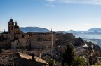 Urbino Urbino