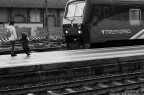 Il "mostro" Il "mostro"