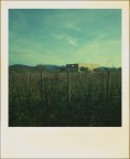 paesaggio in polaroid