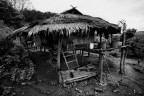 Bamboo Hut