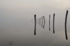 Prime luci al lago nebbioso Prime luci al lago nebbioso