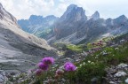 Rifugio Passo Principe Rifugio Passo Principe