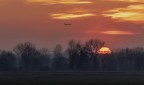 Aereo al tramonto Aereo al tramonto