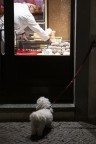 Io non posso entrare ! Io non posso entrare !
