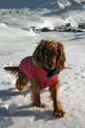 lilly lilly