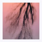 Alba sul Bacchiglione Alba sul Bacchiglione