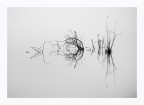 Riflessioni