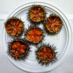 Oggi una passegiata al Poetto Oggi una passegiata al Poetto