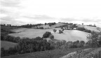 paesaggio marchigiano paesaggio marchigiano