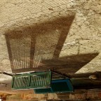 City Butterflay City Butterflay