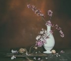 Primavera