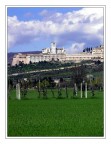 Assisi Assisi
