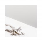 Biancore #5 Biancore #5