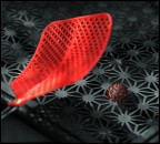 Coronavirus fake news... Coronavirus fake news...