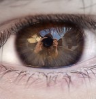 NOI STIAMO A CASA... NOI STIAMO A CASA...