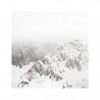 Biancore #8 Biancore #8