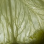 Macro_Food_Home_Mar2020 Macro_Food_Home_Mar2020